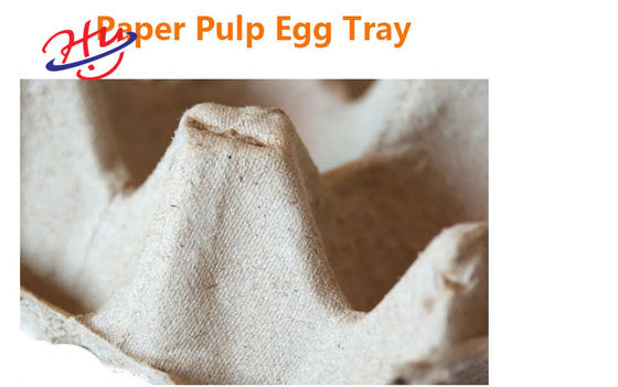Ei-Tray Egg Plate Thermocol Foam-Nahrungsmittelbehälter-Produktions-Ausrüstung