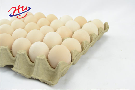Automatisches Eierablagefrucht-Behälterkaffeetablett zermahlen Tray Molding Equipment-Preis