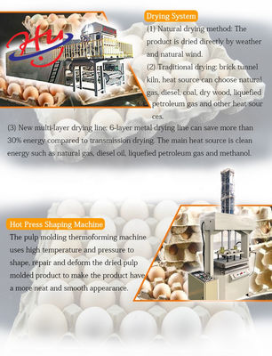 Tray Making Machine Paper Pulp-Formteil-System-Flasche Tray Production Line des Ei-7000PCS/H