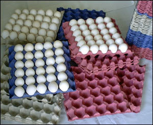 Heiß! Ei-Verpackungs-Maschinen-Papier-Ei-Tray Machine Line-Batterie/Fruchtbehälter, der Maschine herstellt