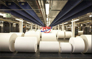 BV-Weizen-Straw Bagasse Printing Paper Making-Maschine